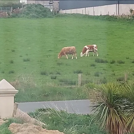 Bree House بيت للعطل